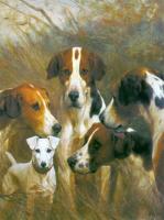 Blinks, Thomas - Foxhounds and a Hunt Terrier